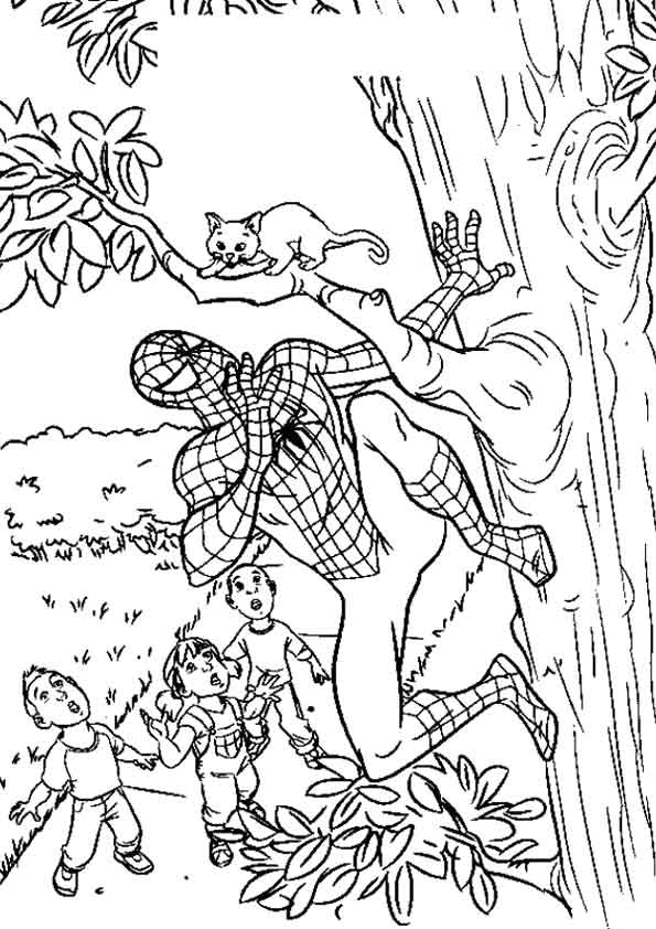 Drawing Spiderman who save a kitten coloring pages printable for kids 